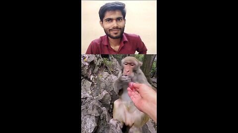 chutiya ho gaya kya