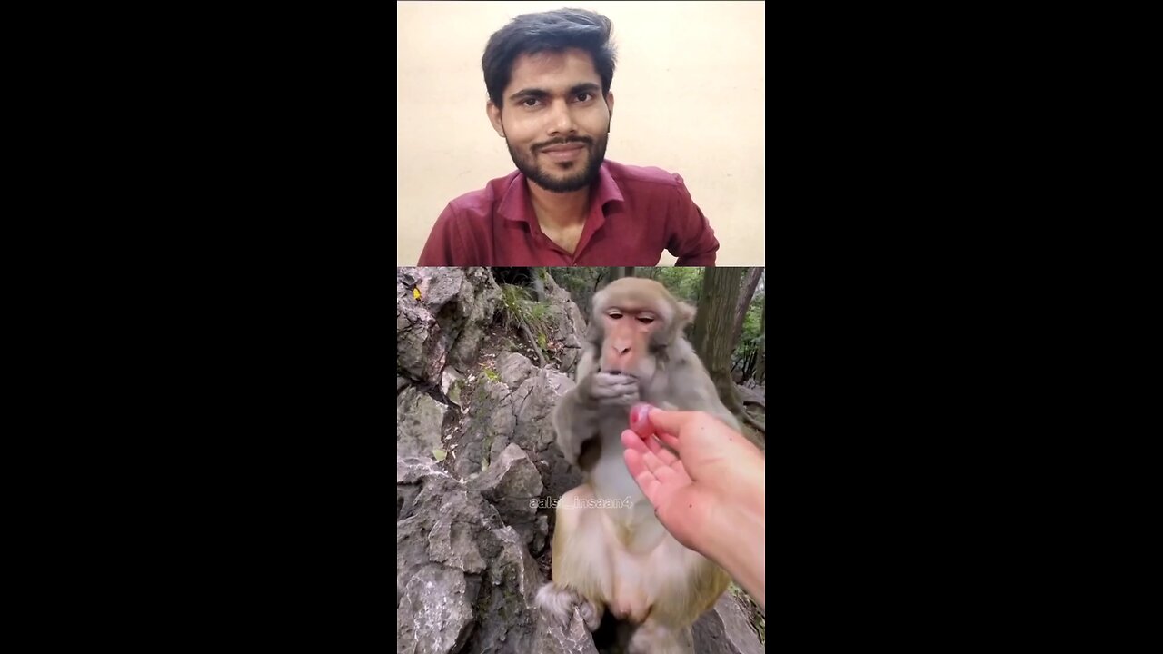chutiya ho gaya kya