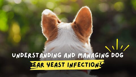 What's REALLY Causing Your Dog's Ear Yeast Infections?