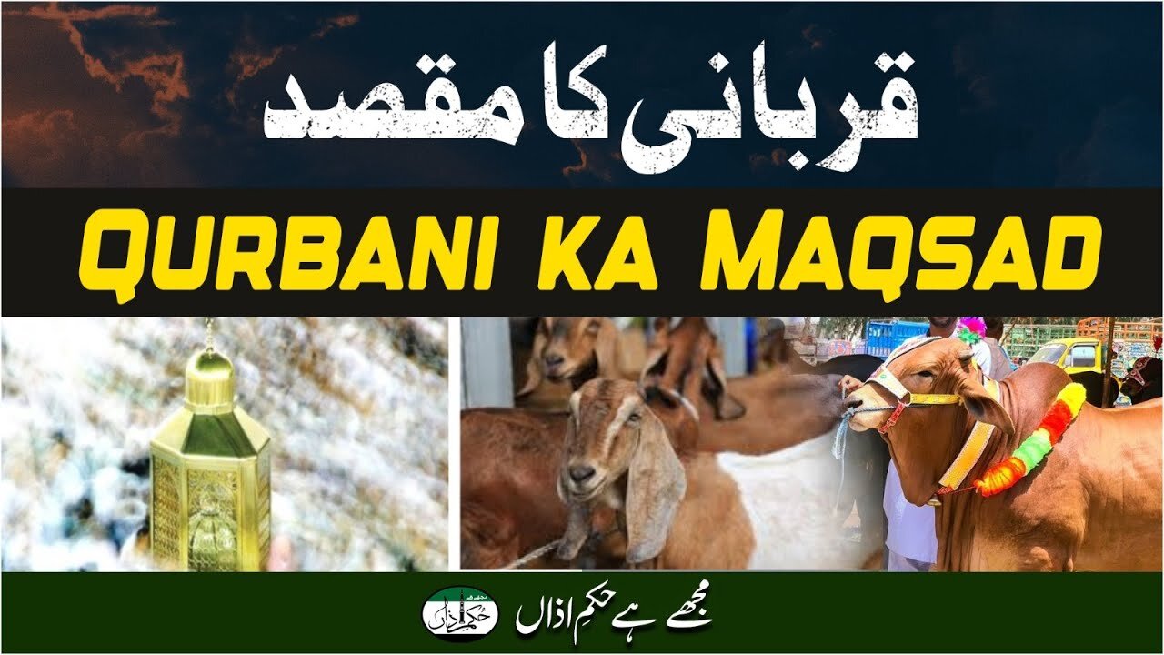 Qurbani Ka Maqsad _ Ep #294
