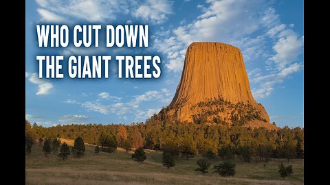 WHO CUT DOWN THE GIANT TREES