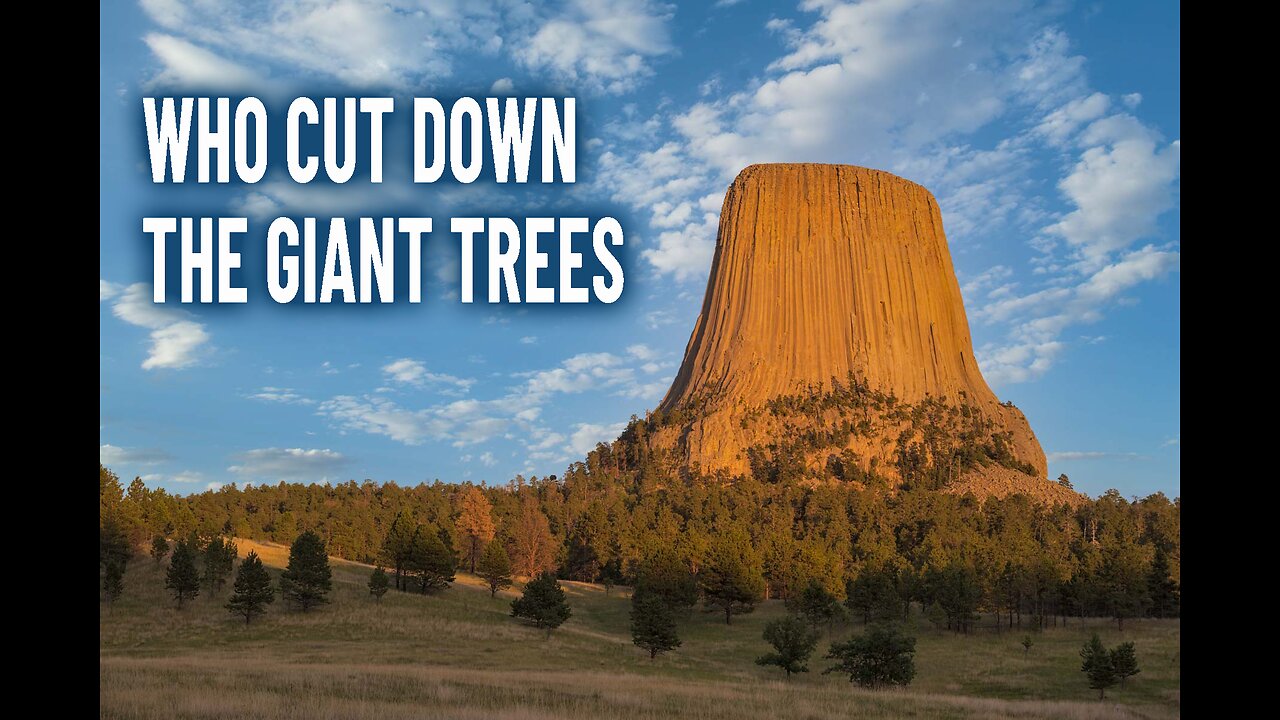 WHO CUT DOWN THE GIANT TREES