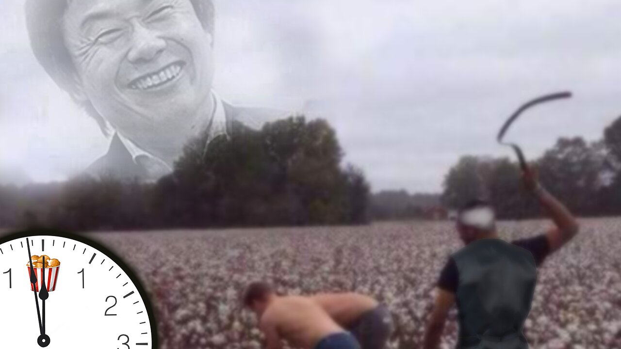 RNH - 12 Years a Nintendo Slave