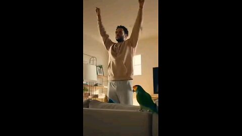 He Tried to Be Motivated… Parrot Said ‘Again? #parrot #parrotcomedy #parrotfunnytalking