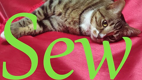 Sew Sunday Catch Up || Stitch & B*