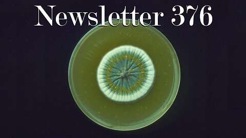 Newsletter 376: Man-Made Horrors Beyond Your Comprehension