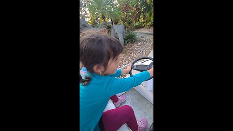 Safari Ride at Legoland