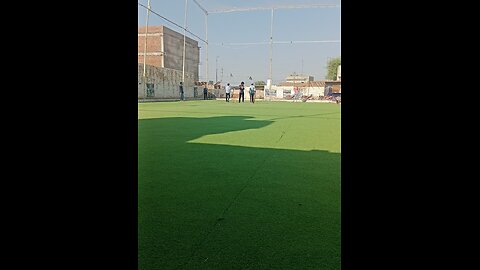 Clean Ground Carpet Daytime Cricket Action at Midnight Cricket Arena | Unmissable Cricket Thrills!