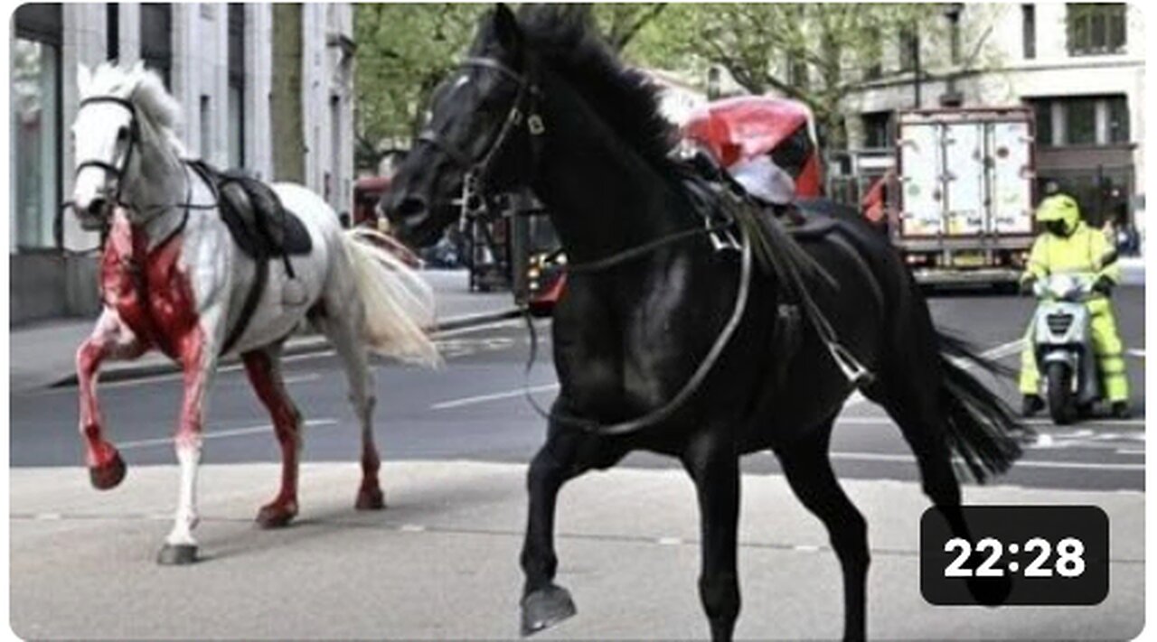 Signs & messages are being sent! The symbolism behind the bloody horses running free in London!