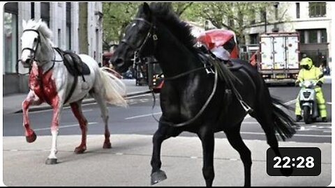 Signs & messages are being sent! The symbolism behind the bloody horses running free in London!