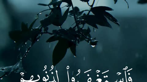 🔥 Surah Āl-Imrān 3:135 — سورة آل عمران ⚡🤍😢 #Quran #shorts #viral #love #youtubeshorts #trending