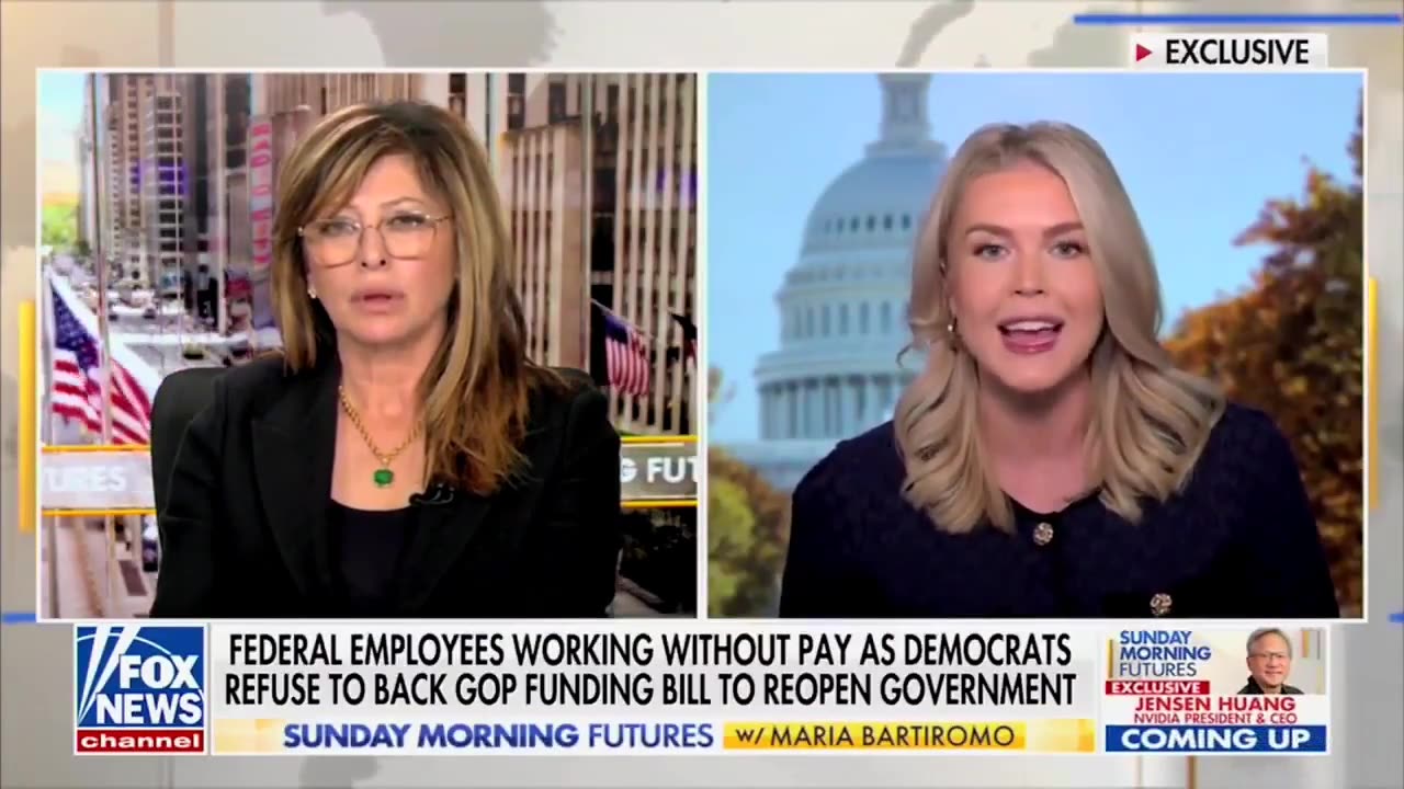 "Radical Left Democrats have shut our government down