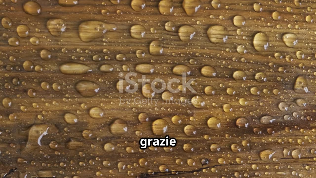 Scopri il Legno di Iroko_ Caratteristiche