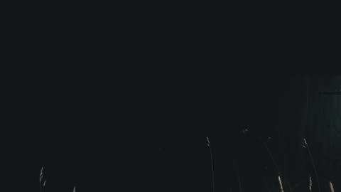 THIS GIFT IS A CURSE - Kingdom (Official Music Video)