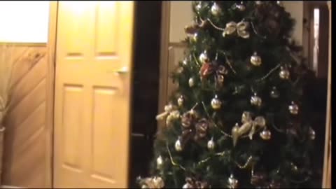 😱👻 Poltergeist Activity in New York! | TheHauntingHour