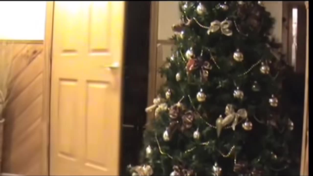 😱👻 Poltergeist Activity in New York! | TheHauntingHour