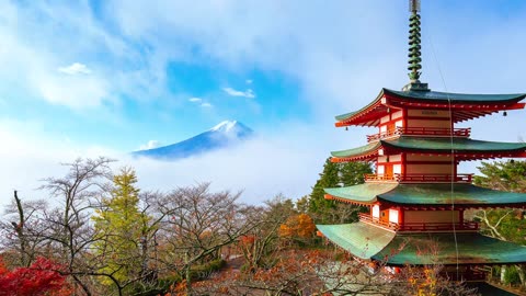 "The biggest adventure you can take is to live the life of your dreams."