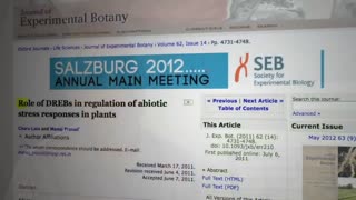 Watch Alex Jones Warn You About The New World Order Decades Ago in These Films