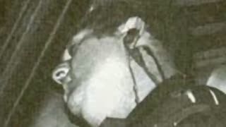 Watch Alex Jones Warn You About The New World Order Decades Ago in These Films