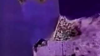 Watch Alex Jones Warn You About The New World Order Decades Ago in These Films