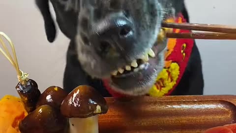 ASRM EATING TIME... #100kfollowers #asmrvideo #tiktokviralvideo #30millionviews