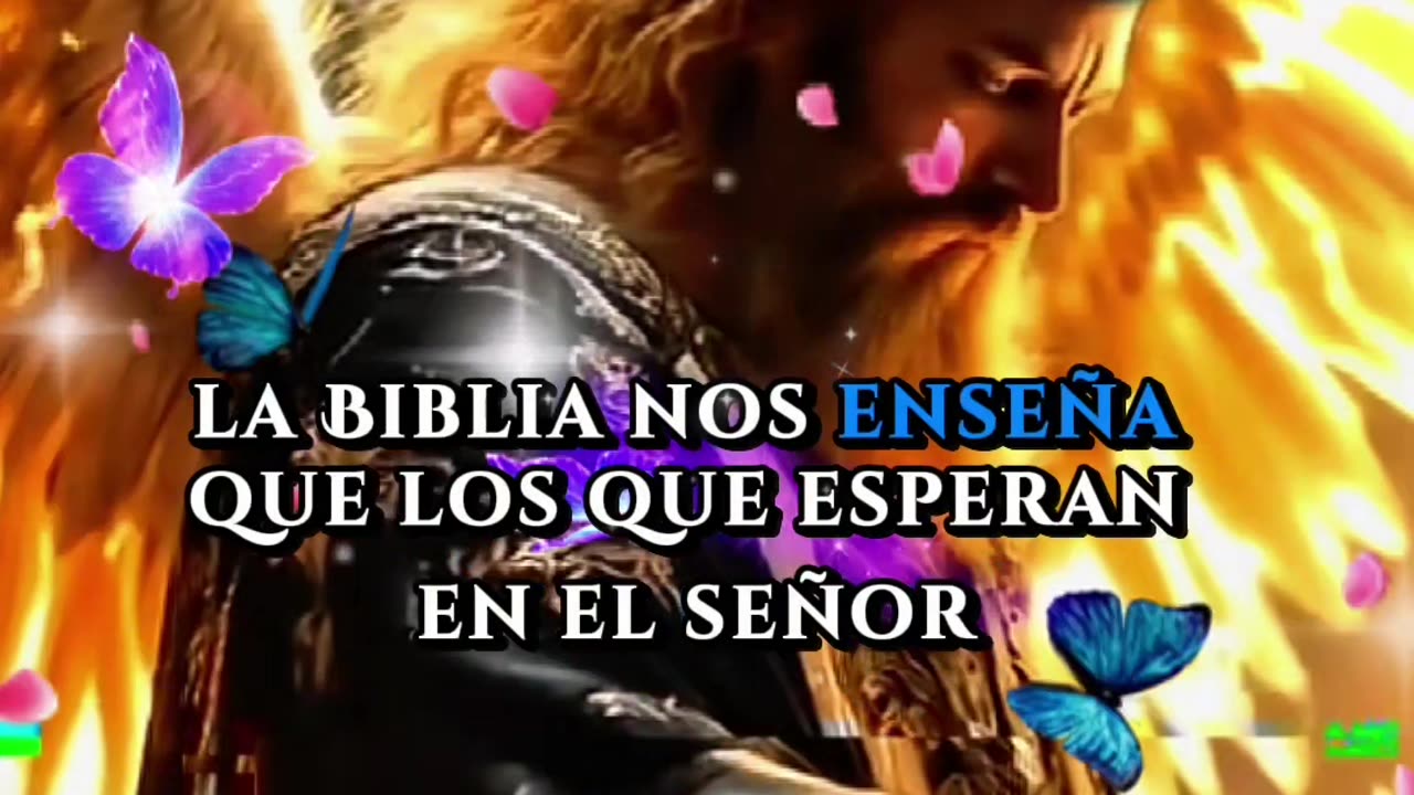 REFLEXIONES 💫 🤍 💫 🤍 💫 🤍 💫