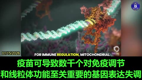 Nicholas Hulscher Explains Chain Reaction of mRNA COVID-19 Shots Harms