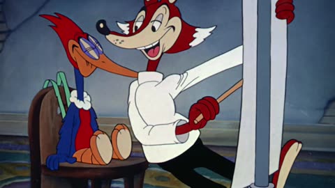 Woody Woodpecker Cartoons new Updated