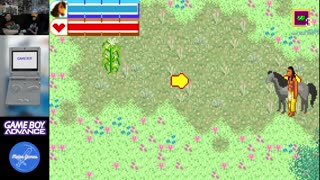 Game Boy Advance Roulette - Who Are You?