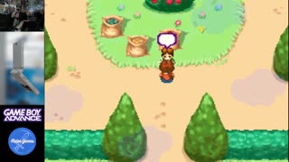 Game Boy Advance Roulette - Who Are You?