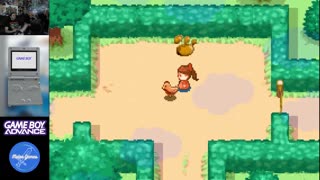 Game Boy Advance Roulette - Who Are You?