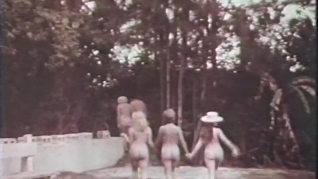 Crazy Wild and Crazy 1964