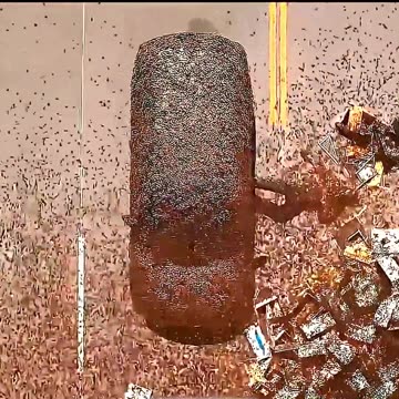 Thousands of Deadliest Bees