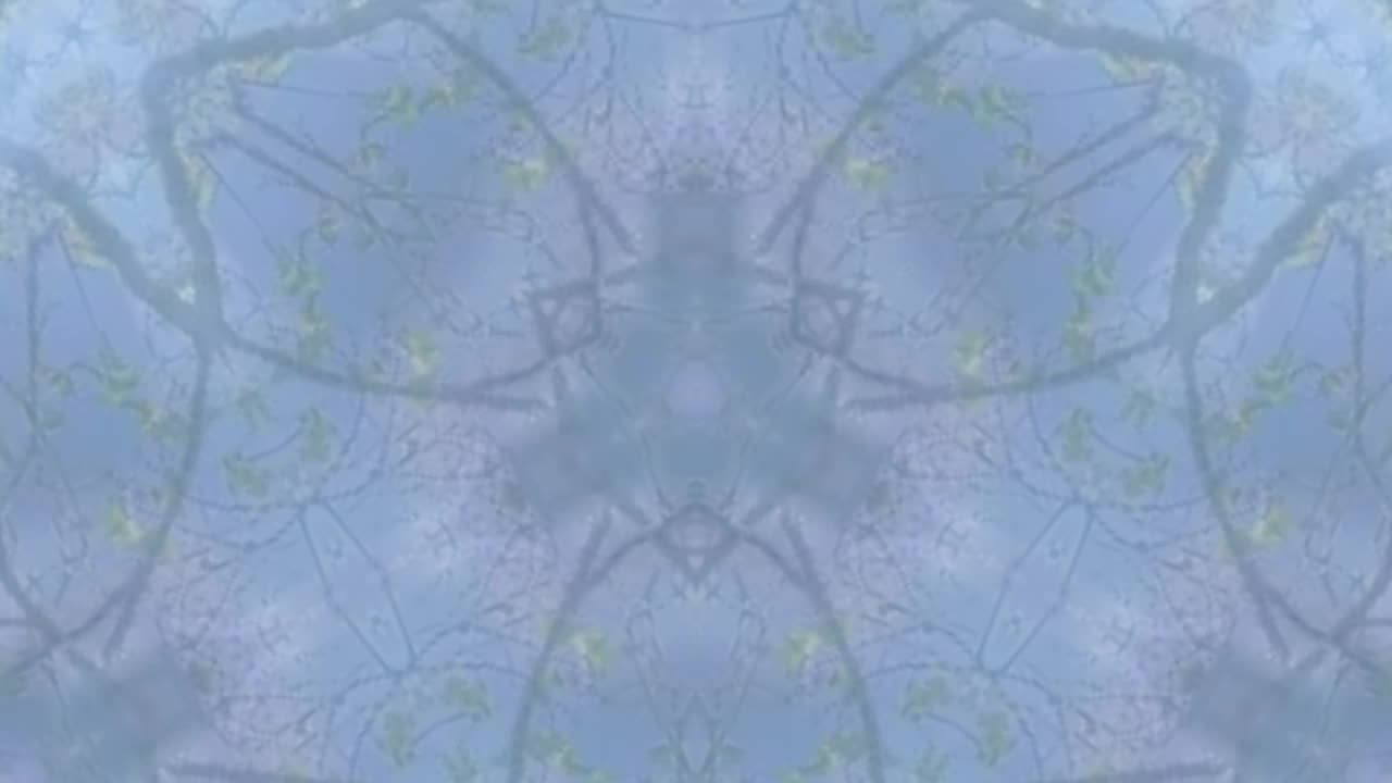 Guided Meditation for Clarity & Relaxation | The Space Between Thoughts
