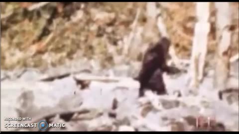PATTERSON BIGFOOT VIDEO SLOWED DOWN