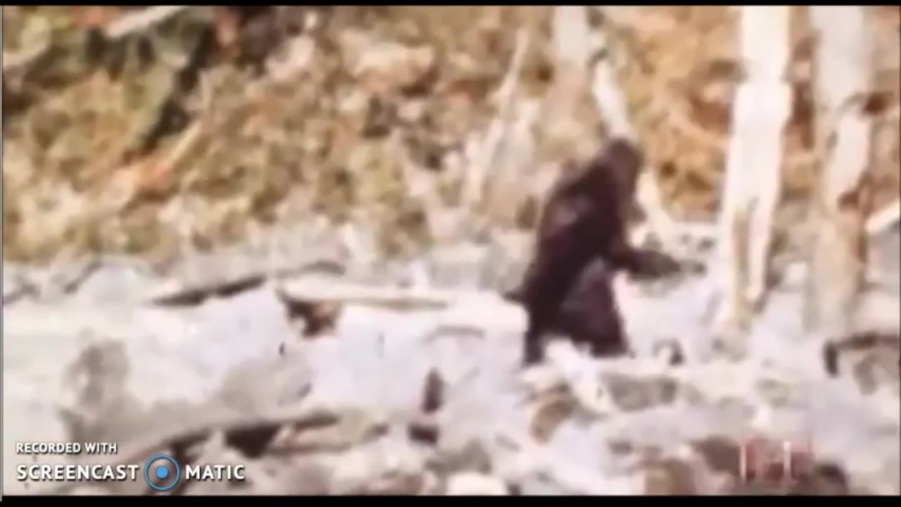 PATTERSON BIGFOOT VIDEO SLOWED DOWN
