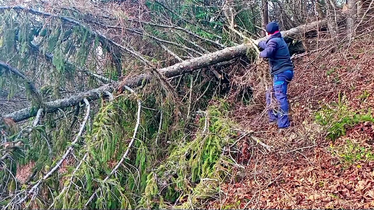 Father and Son: A Day of Simple Work