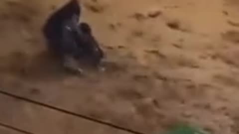 Kaos nga moti i keq në Greqi, uji merr para një grua...