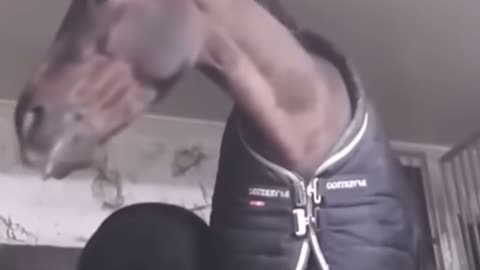 😂🚫 You Won't Believe What They Just Got Caught Doing! Caught in the act | FunFM