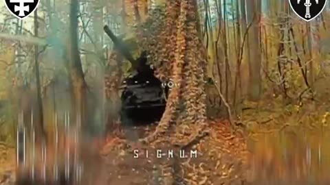 Ukrainians Destroy Multiple Russian Tanks, Heavy Guns and More