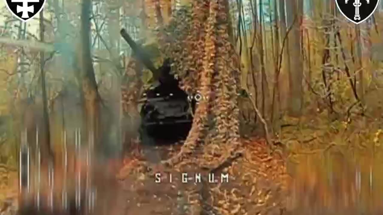 Ukrainians Destroy Multiple Russian Tanks, Heavy Guns and More