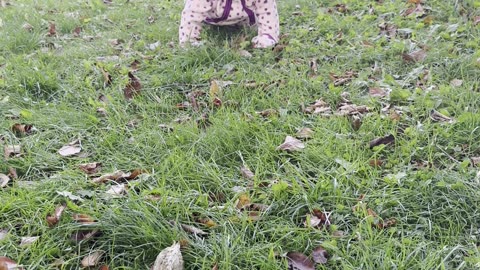 baby kayla crawling super fast to mommy 🥰 she’s getting quicker every day!