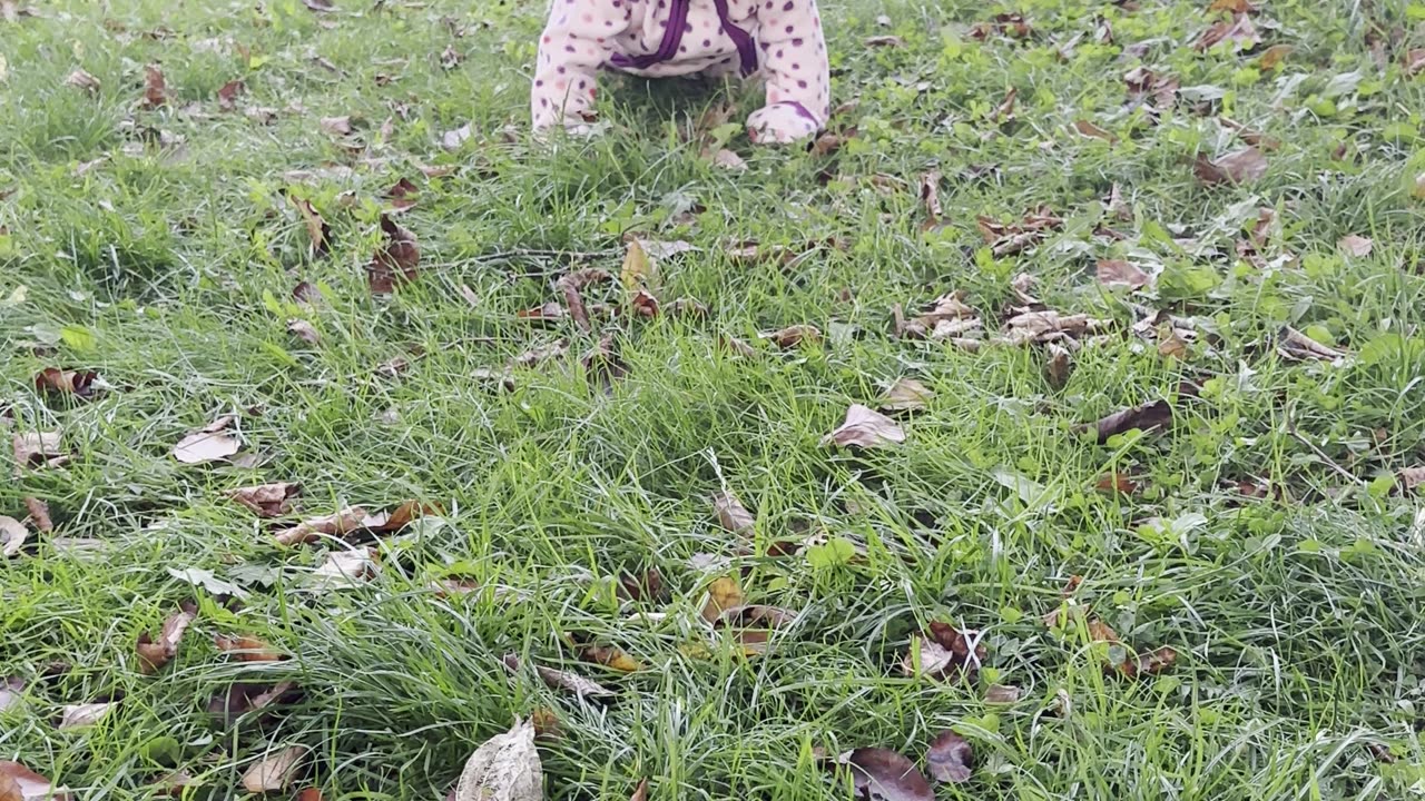 baby kayla crawling super fast to mommy 🥰 she’s getting quicker every day!