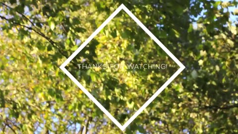 Autumn Winter Wardrobe: Part One | Suzie Bonaldi