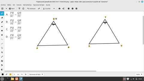 pregunta sobre triangulos semejantes