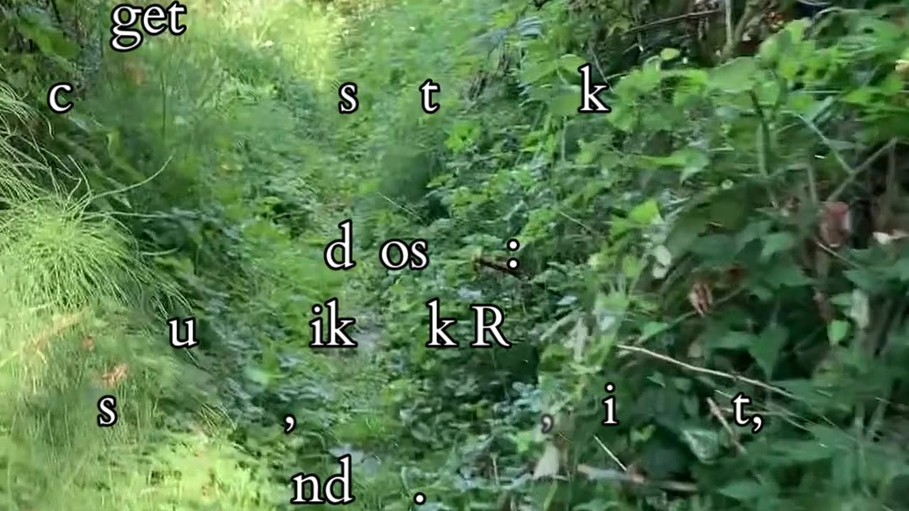 Into the Depths of Purpose | Path and Tarot Reading