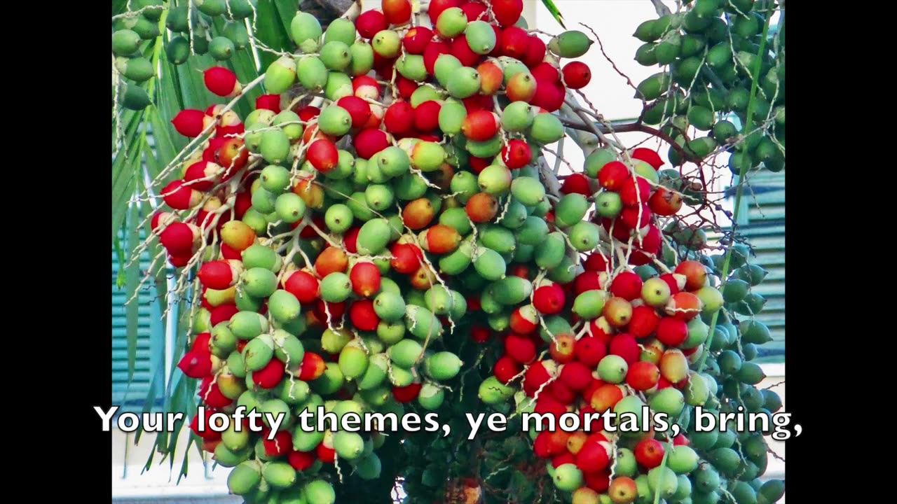 #12: “From All That Dwell Below The Skies” (w/ lyrics) |MODERN MELODIES to METHODIST HYMNAL LYRICS