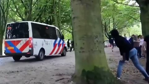 Netherlands Rising