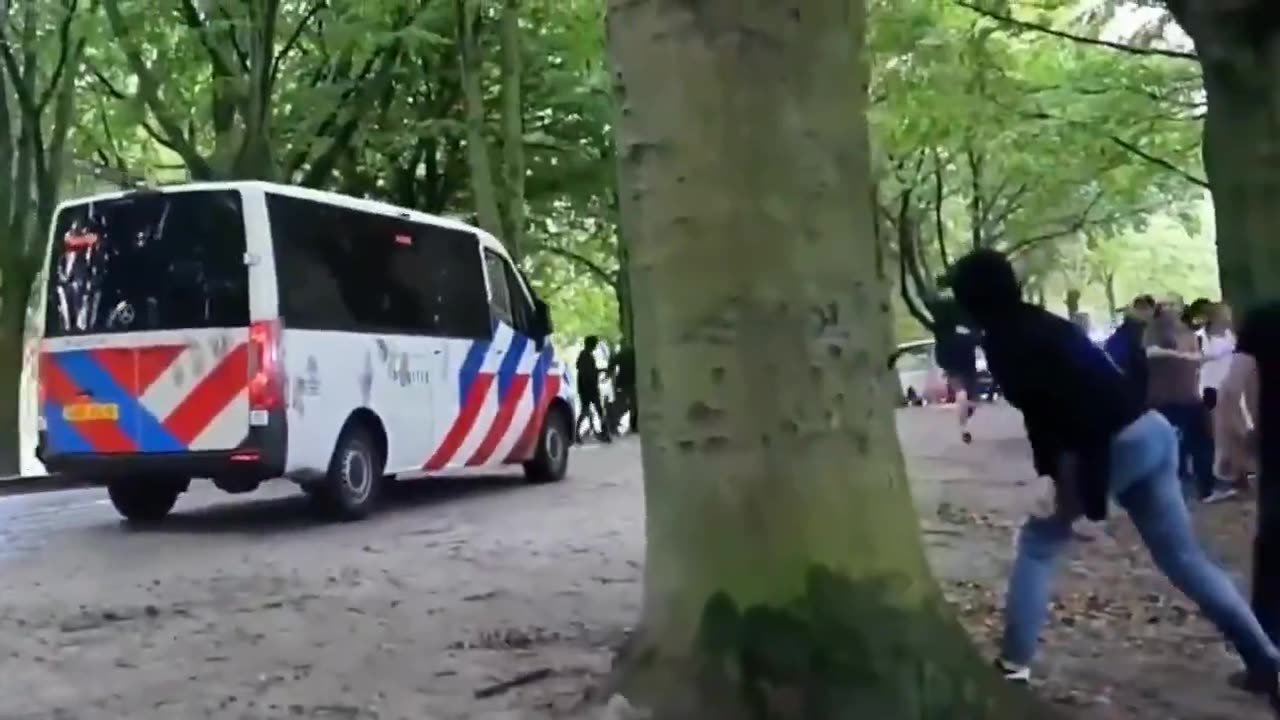 Netherlands Rising