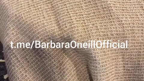 Sauerkraut: Nature’s Probiotic Powerhouse! 🥬✨